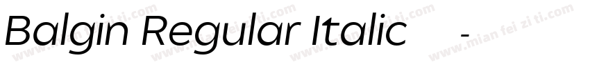 Balgin Regular Italic 语言英文字体转换